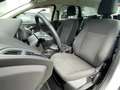 Ford Focus Traveller 1,6 TDCi * 2. Besitz * Servicegepflegt * Weiß - thumbnail 11