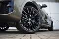 BMW X6 xDrive40i High Executive M Sport Automaat / Panora Groen - thumbnail 13