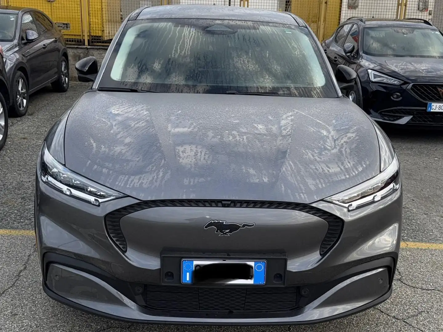 Ford Mustang Mustang Mach-e Grigio - 1