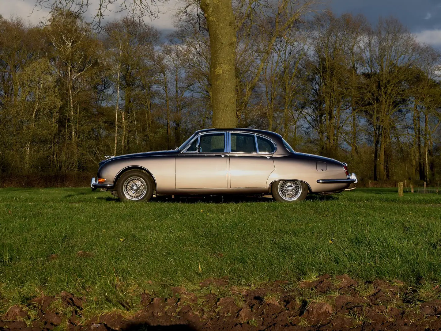 Jaguar S-Type 3.8 S – Savoy Grey Metallic -110.89MLS – Y1965 Gris - 1