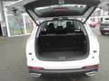 DFSK DFSK Fengon 600 Automatik,7 Sitzer Blanc - thumbnail 21