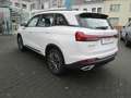 DFSK DFSK Fengon 600 Automatik,7 Sitzer Blanc - thumbnail 15