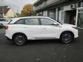 DFSK DFSK Fengon 600 Automatik,7 Sitzer Blanc - thumbnail 14