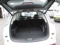 DFSK DFSK Fengon 600 Automatik,7 Sitzer Bianco - thumbnail 11
