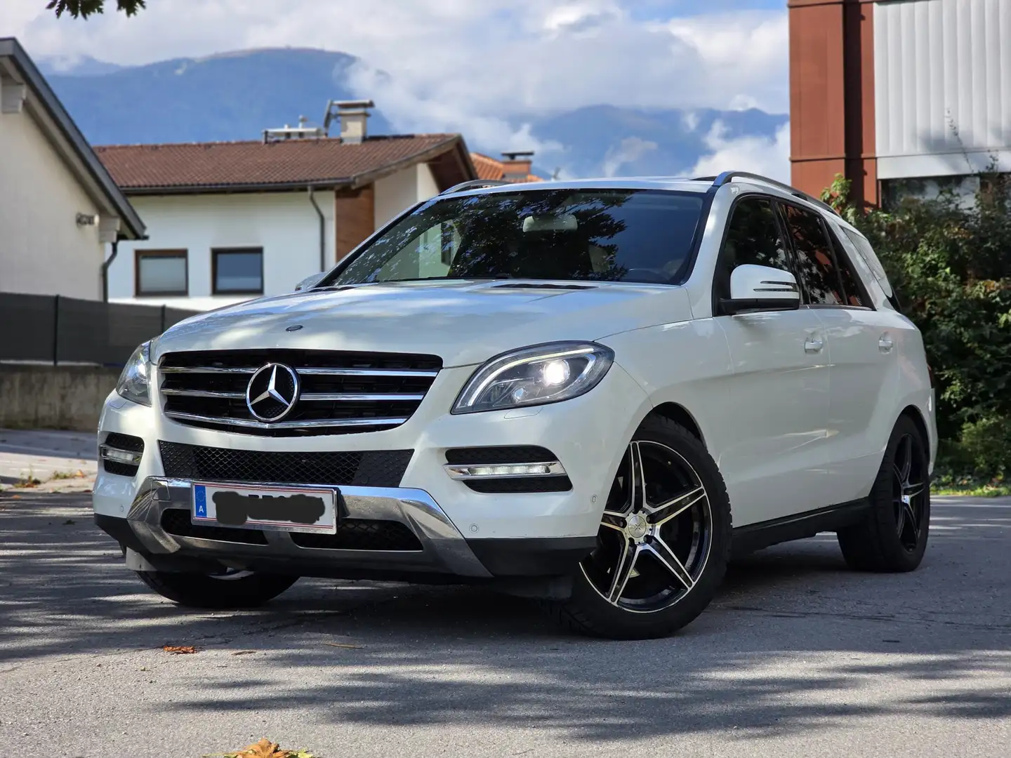 Mercedes-Benz ML 250 BlueTEC 4MATIC Aut. DPF - 1