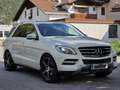 Mercedes-Benz ML 250 BlueTEC 4MATIC Aut. DPF - thumbnail 4