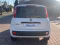 Fiat New Panda 1.3 MJT 80cv S.&S. POP VAN 2 POSTI AZIENDALE Blanc - thumbnail 6
