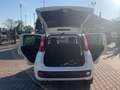 Fiat New Panda 1.3 MJT 80cv S.&S. POP VAN 2 POSTI AZIENDALE Blanc - thumbnail 14