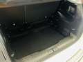 Fiat 500L 500L 1.3 Multijet 95 CV Cross Bianco - thumbnail 5
