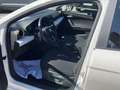 SEAT Ibiza 1.0 TSI 85KW STYLE PLUS Blanco - thumbnail 14