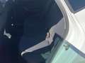 SEAT Ibiza 1.0 TSI 85KW STYLE PLUS Blanco - thumbnail 16