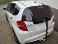 Honda Jazz Jazz 1.2 i-VTEC 50 Jahre Edition Bílá - thumbnail 5