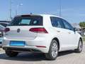 Volkswagen Golf VII 1.0 TSI PDC+ ALS BLUETOOTH Weiß - thumbnail 3
