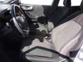 Ford Puma 1.0 EcoBoost MHEV ST-Line 125 Blanco - thumbnail 9