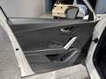 Audi Q2 1.6TDI Advanced S tronic 85kW Blanco - thumbnail 11