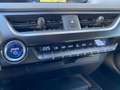 Lexus UX 250h Business Navigation 2WD Czerwony - thumbnail 21