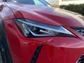 Lexus UX 250h Business Navigation 2WD Red - thumbnail 7