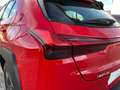 Lexus UX 250h Business Navigation 2WD Rojo - thumbnail 24