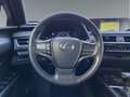 Lexus UX 250h Business Navigation 2WD Червоний - thumbnail 11