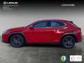 Lexus UX 250h Business Navigation 2WD Rojo - thumbnail 3