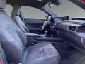 Lexus UX 250h Business Navigation 2WD crvena - thumbnail 9