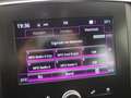 Renault Megane Estate 1.5 dCi Eco2 Zen CLIMA / CRUISE / APPLE-AND Blu/Azzurro - thumbnail 11