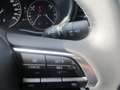 Mazda CX-30 /G140/AT/Nagisa Modell 2025 Grün - thumbnail 18