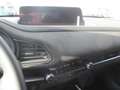 Mazda CX-30 /G140/AT/Nagisa Modell 2025 Vert - thumbnail 19