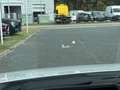 Mazda 6 2.5 194PS 20th Anniversary LED 360° NAVI Weiß - thumbnail 19