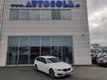 BMW 318 318D Touring Sport Automatica Blanc - thumbnail 12