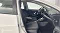 Toyota Yaris 116h Dynamic Business 5p + Programme Beyond Zero Academy MY22 - thumbnail 15