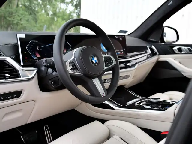 BMW X7 view 12