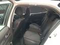 Renault Megane 1.5dCi Blue Life 85kW Blanco - thumbnail 10