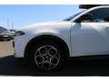 Alfa Romeo Tonale Tonale 1.5 mHEV - 130 - BV TCT  Sprint Blanc - thumbnail 13