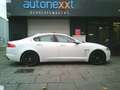 Jaguar XF 3.0D S NIEUWE BANDEN EN APK PRACHTIGE STAAT Wit - thumbnail 5