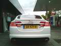 Jaguar XF 3.0D S NIEUWE BANDEN EN APK PRACHTIGE STAAT Wit - thumbnail 3