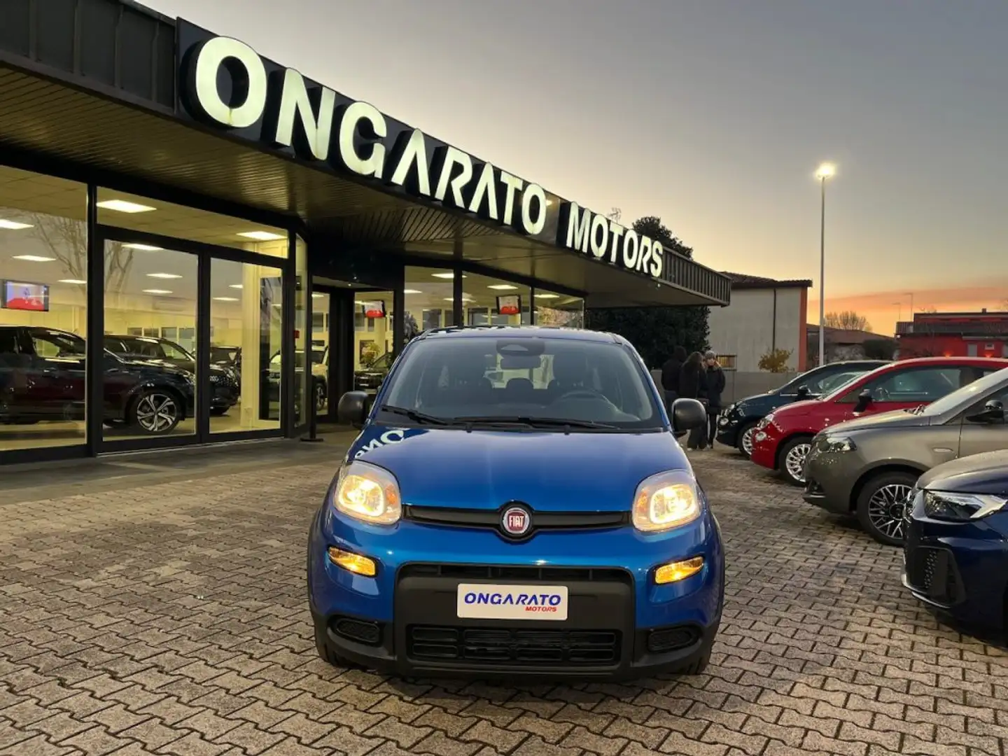 Fiat Panda 1.0 FireFly S&S Hybrid Pandina #Pack.City Blu/Azzurro - 2