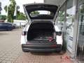 Honda ZR-V Hybrid e HEV Elegance Navi Klimaautom SHZ Temp Tel Blanc - thumbnail 6
