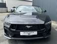 Ford Mustang Convertible 5.0 Ti-VCT V8 GT Schwarz - thumbnail 15