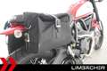 Ducati Scrambler ICON - 2000 Bikes vor Ort Rot - thumbnail 17