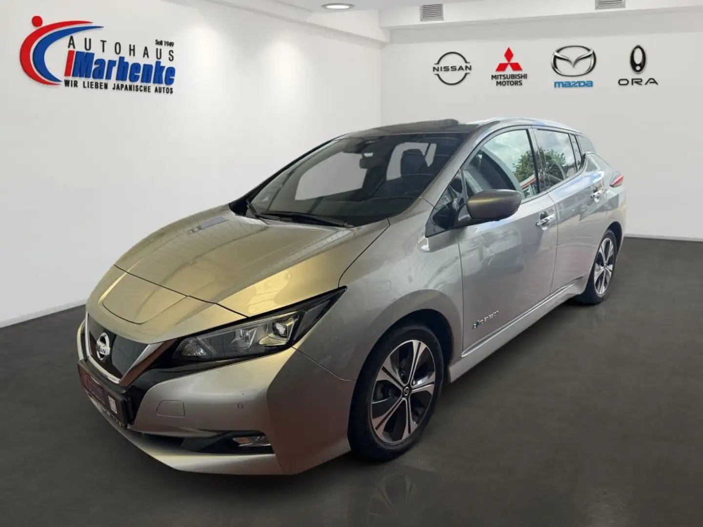 Nissan Leaf 40 kWh Winter, Allwetter Silber - 1