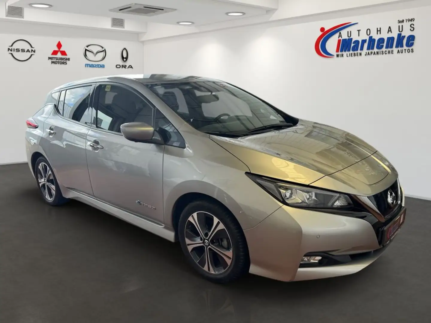 Nissan Leaf 40 kWh Winter, Allwetter Silber - 2