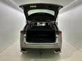 Lexus NX 300h 2.5 HYB BUSINESS PLUS Or - thumbnail 7