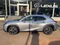 Lexus UX 300e 300h Silber - thumbnail 17