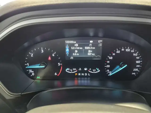 Ford Focus view 7