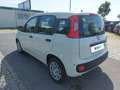 Fiat Panda PANDINA Weiß - thumbnail 7