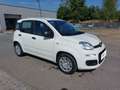 Fiat Panda PANDINA Weiß - thumbnail 3