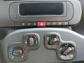 Fiat Panda PANDINA Weiß - thumbnail 14