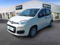 Fiat Panda PANDINA Weiß - thumbnail 1