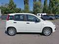 Fiat Panda PANDINA Weiß - thumbnail 4